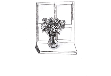 Schnittblumenpflege_Standort_Fenster_2.png