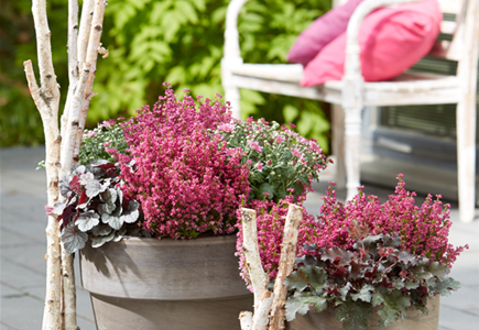 WIR KöNNEN FARBE! WIR KöNNEN FARBE!