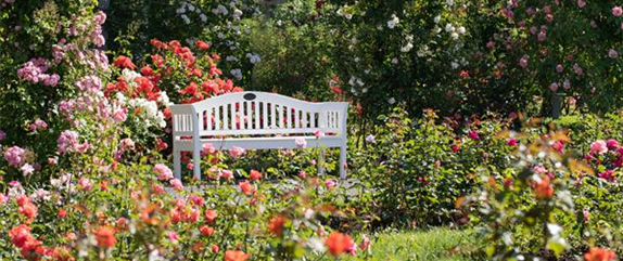 DER ROSENGARTEN - SCHLICHTE ELEGANZ UND TOLLE DüFTE