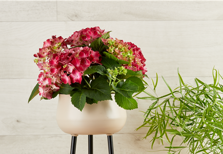 BLUMIGE OSTERN! BLUMIGE OSTERN!