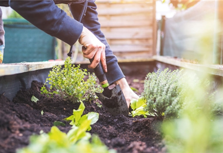 EIN HOCH AUF'S HOCHBEET!  EIN HOCH AUF'S HOCHBEET!